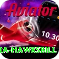 antigua hawksbill Games (Casino & Earning) Elite v3.1.9