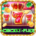 bet365 cricket Games Pro