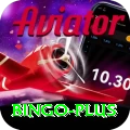 bingo Deluxe v4.6.9