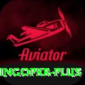 bingopkr Ultimate Pro v2.5.1