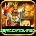 bingopkr Prime New