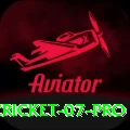 cricket 07 Ultimate PK v4.4.6