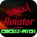 cricket pitch Games (Casino & Earning) Elite v1.7.1