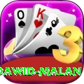 dawid malan Premium Edition v2.6.7