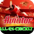 fastest ball in cricket Ultimate Pro v1.7.2