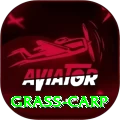 grass carp Master Pro v2.1.8