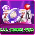 herschelle gibbs App Pro v3.2.2