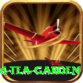 hile ilam tea garden Max v3.0.1