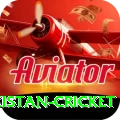 india pakistan cricket Max Pro v2.5.9