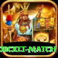 india pakistan cricket match Plus Edition v5.8.3