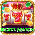 international cricket match VIP Pro v5.8.7
