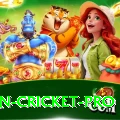 most centuries in cricket APK Master v2.4.9