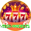 most test wickets VIP v3.5.4