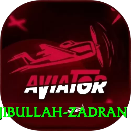 najibullah zadran Games (Casino & Earning) Turbo v1.8.6 - 2