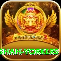 naseem shah yorkers Gold Pro v2.3.9
