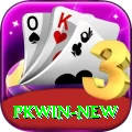 pkwin VIP Pro vv4.6.3