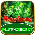 play cricket Deluxe Edition v1.2.8
