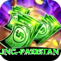 responsible gambling pakistan Pro1 v1.2.3