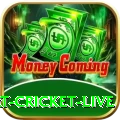 smart cricket live Pro1 v2.1.0