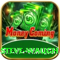 steve waugh Gold Pro v3.9.7