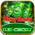 test cricket Pro Max v2.0.1