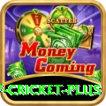 v cricket Casino Supreme v2.2.4
