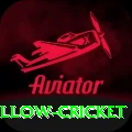 willow cricket Gold Edition v1.2.8