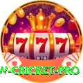 willow cricket Max Latest v1.8.1
