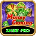 zh88 Live Casino Premium